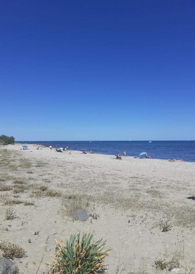 Cap D Agde 200M Plage Du Mole Acces Direct Aux Rues Pietonnes מראה חיצוני תמונה